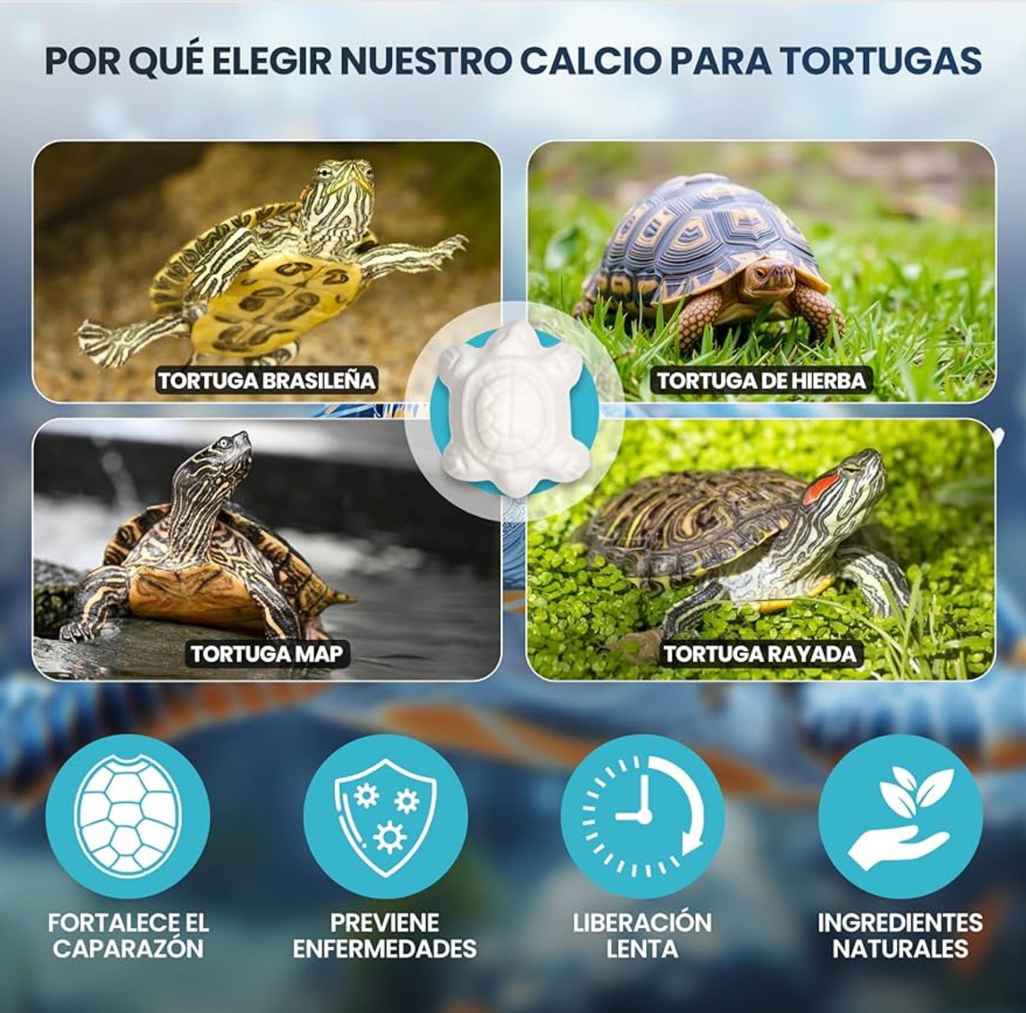 Calcio para Tortugas de Agua 20 Uds