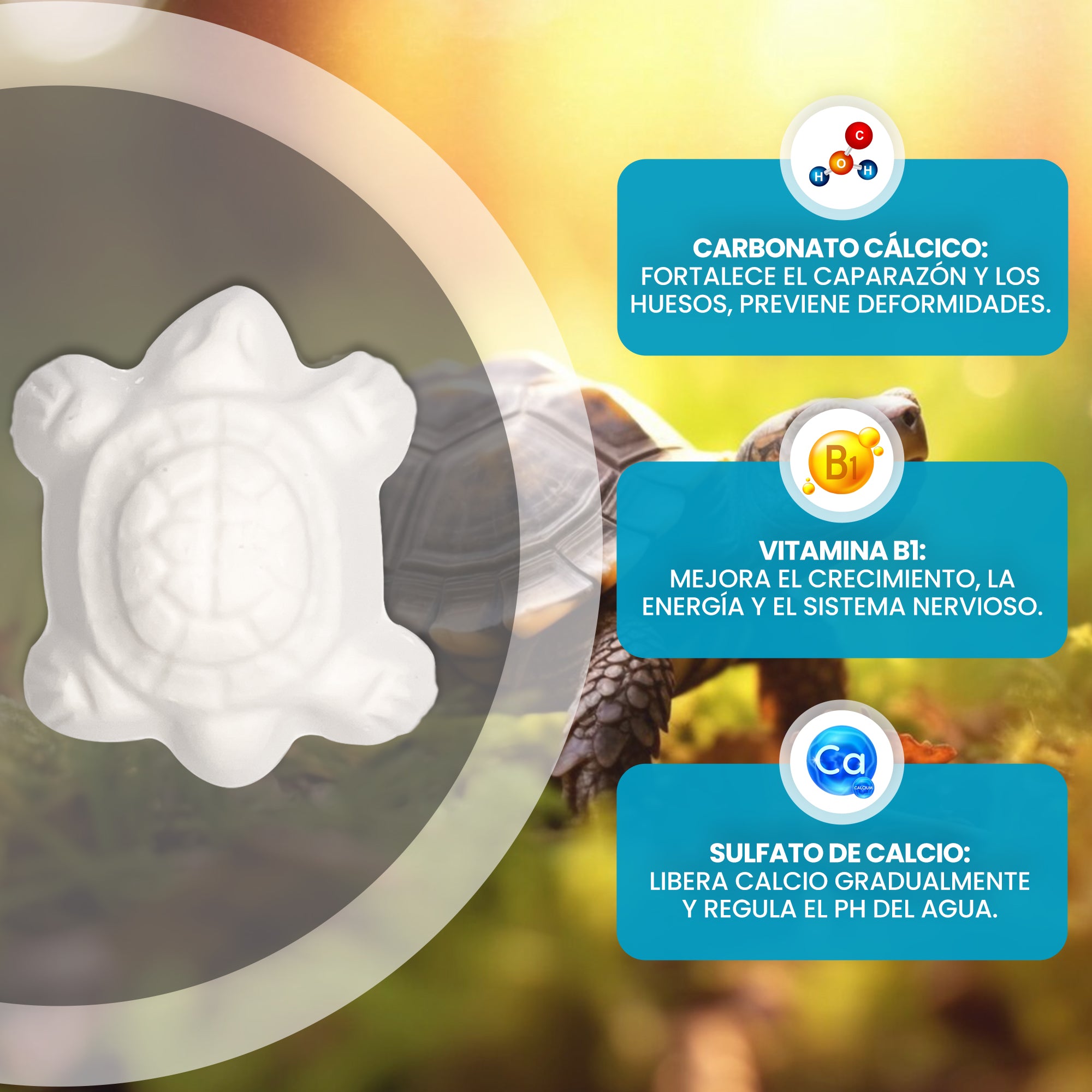 Calcio para Tortugas de Agua 20pcs