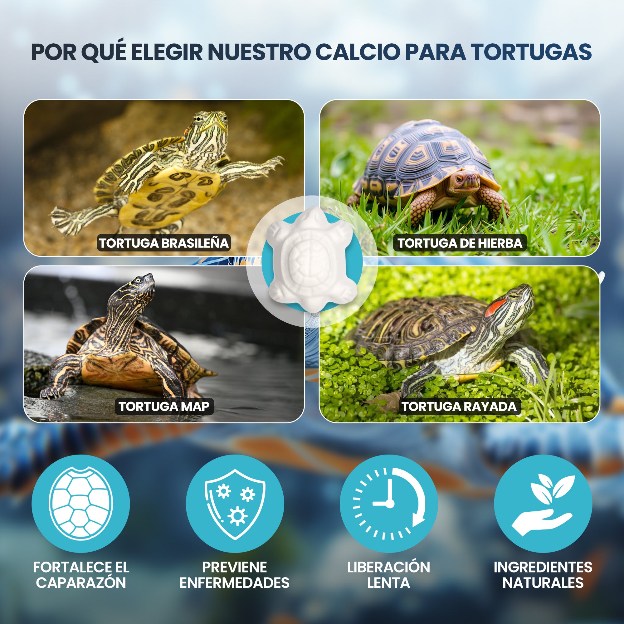 Calcio para Tortugas de Agua 20pcs