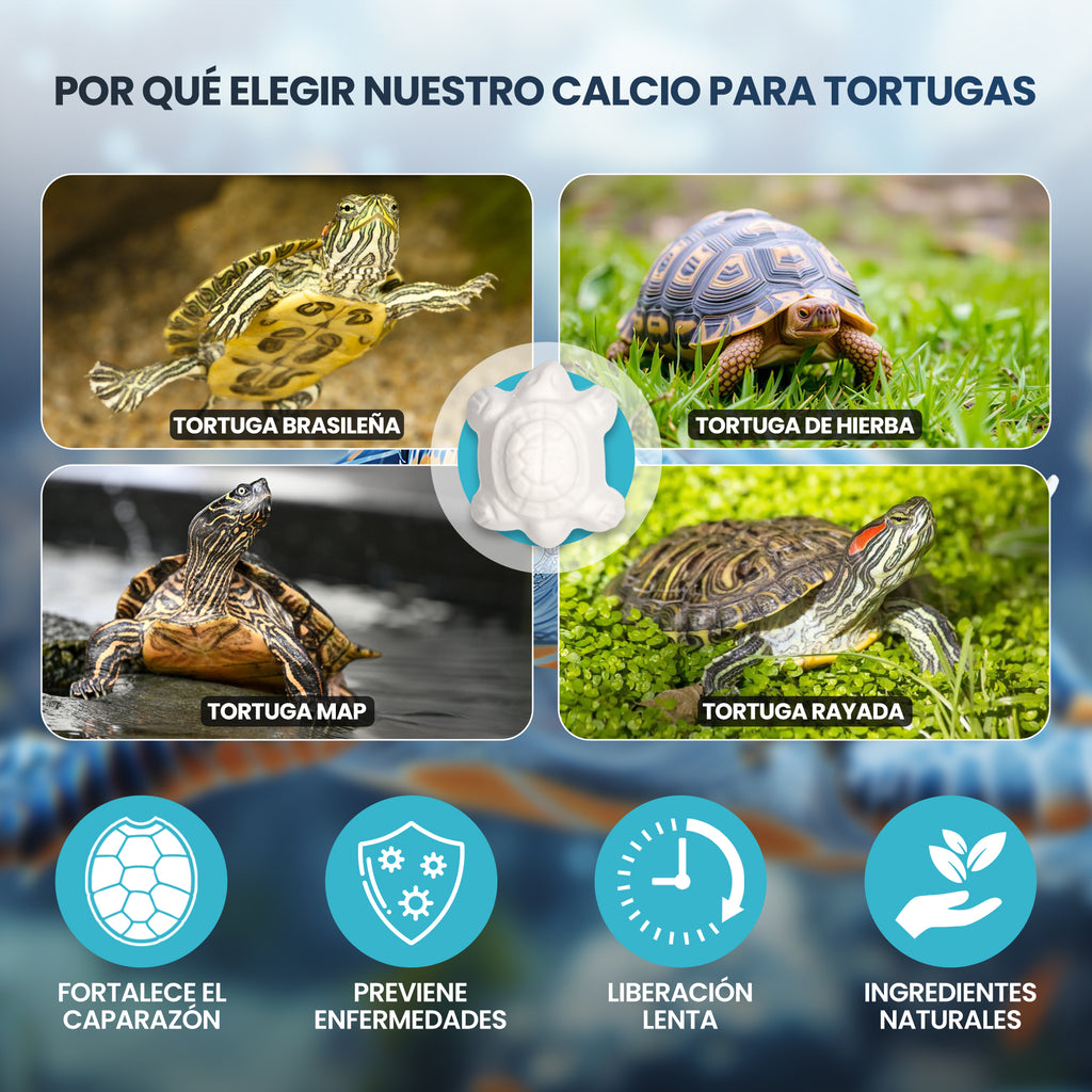 Calcio para Tortugas de Agua 10pcs