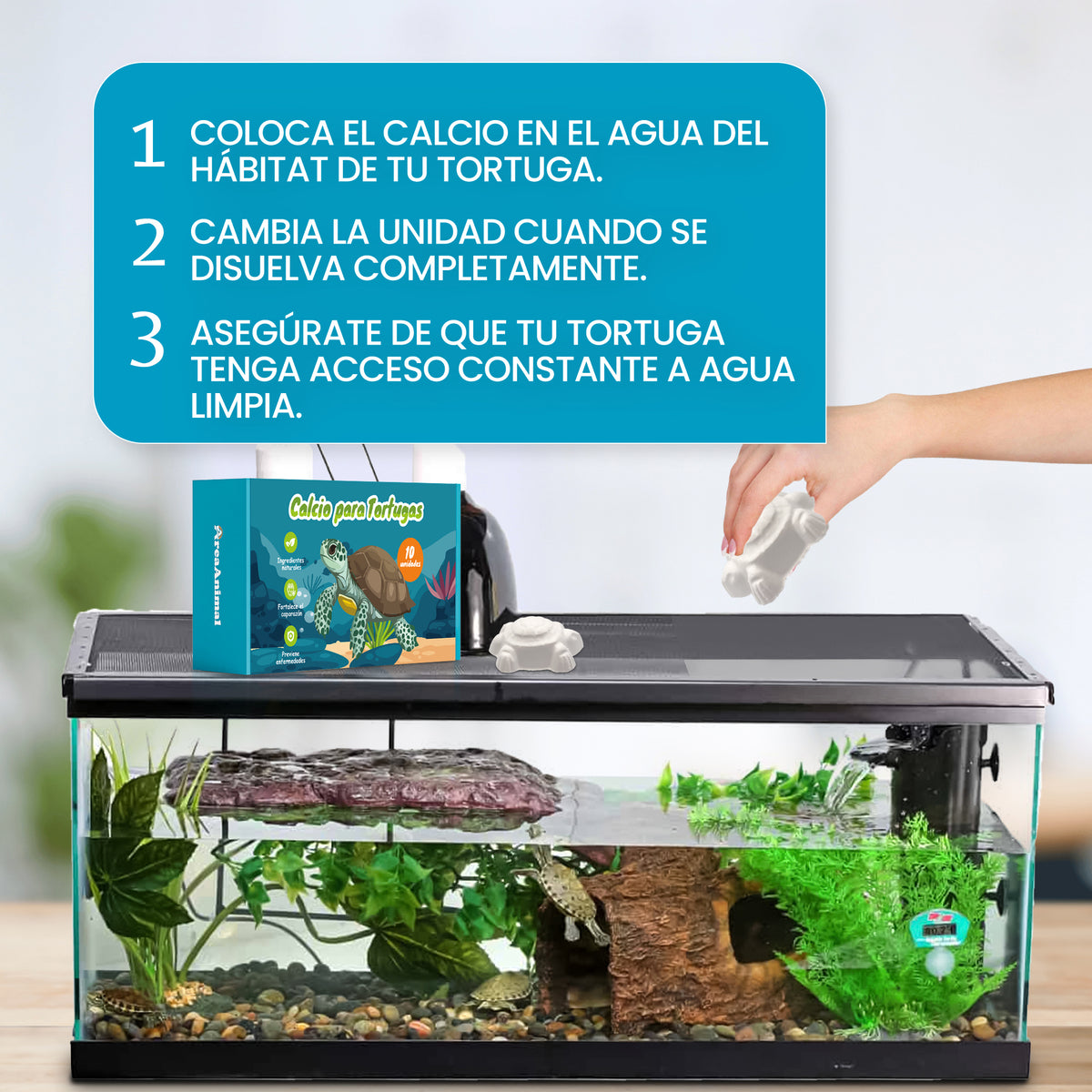 Calcio para Tortugas de Agua · 10 uds