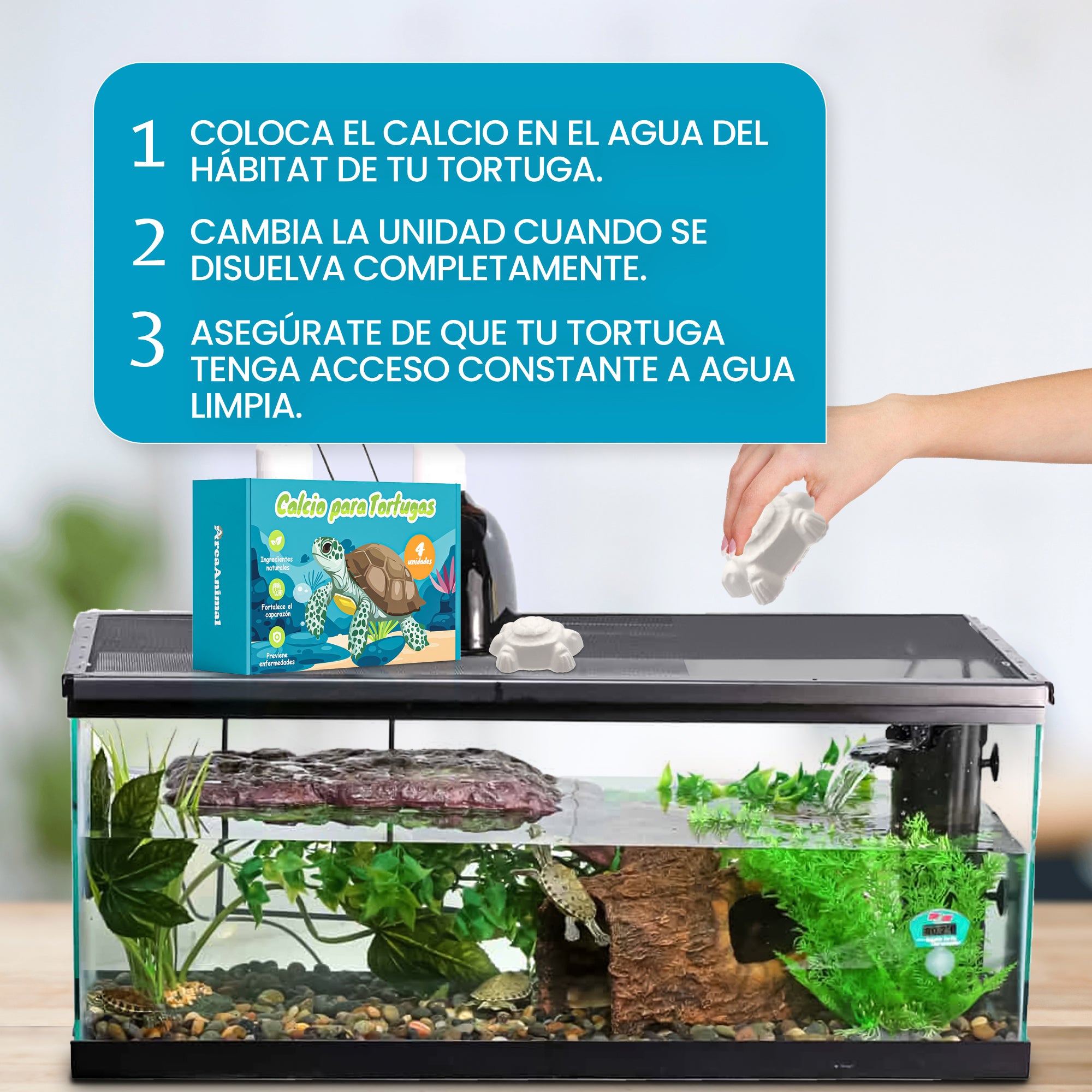 Calcio para Tortugas de Agua 4pcs