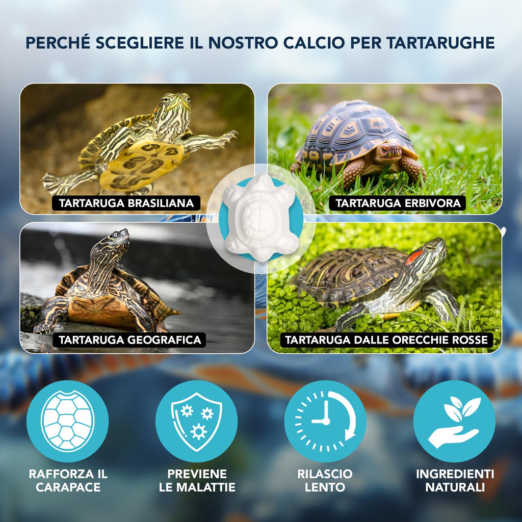Calcio para Tortugas de Agua · 10 uds