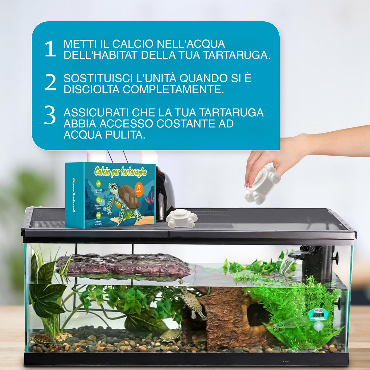 Calcio para Tortugas de Agua · 10 uds