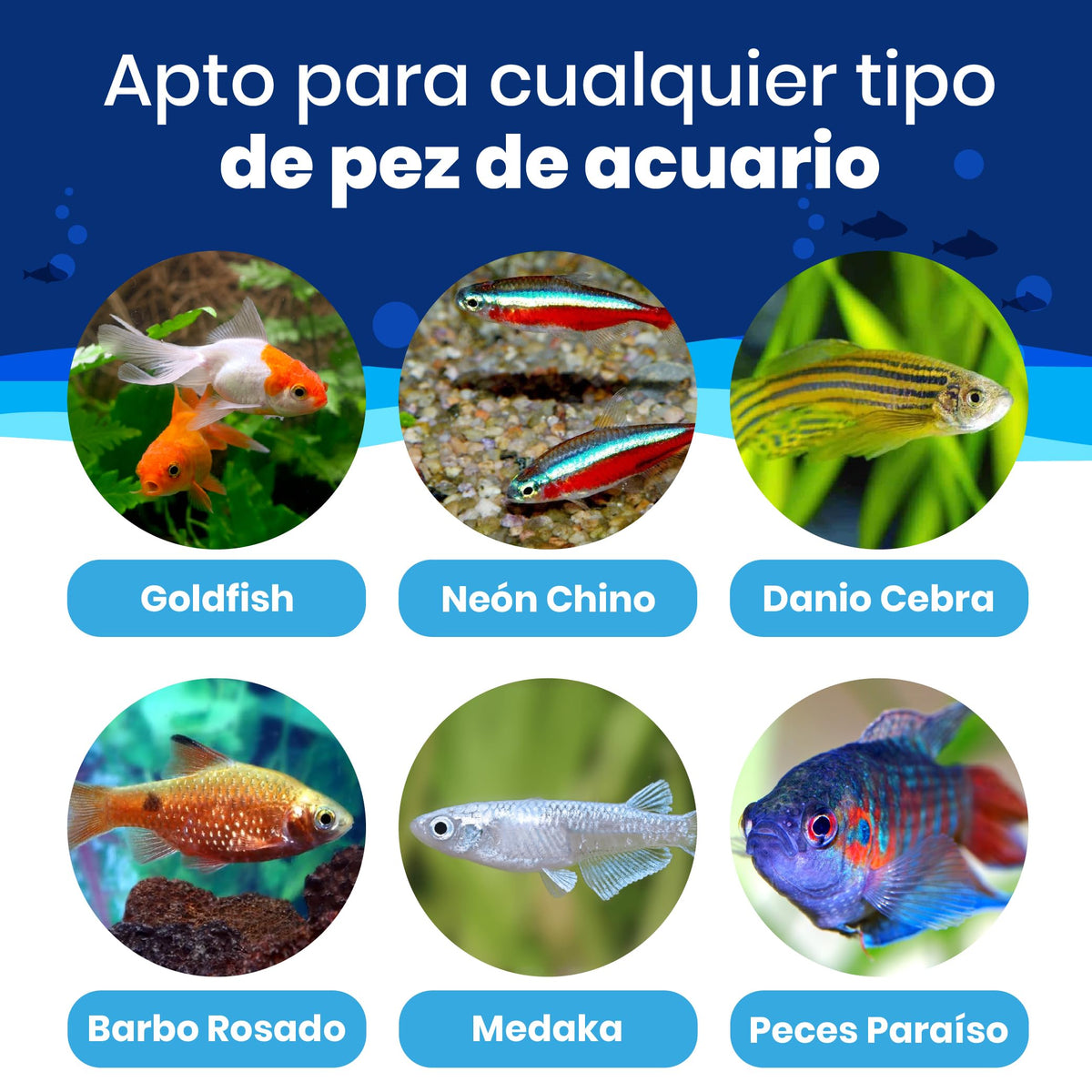 Comida de Vacaciones para Peces (15 días) · 4 uds