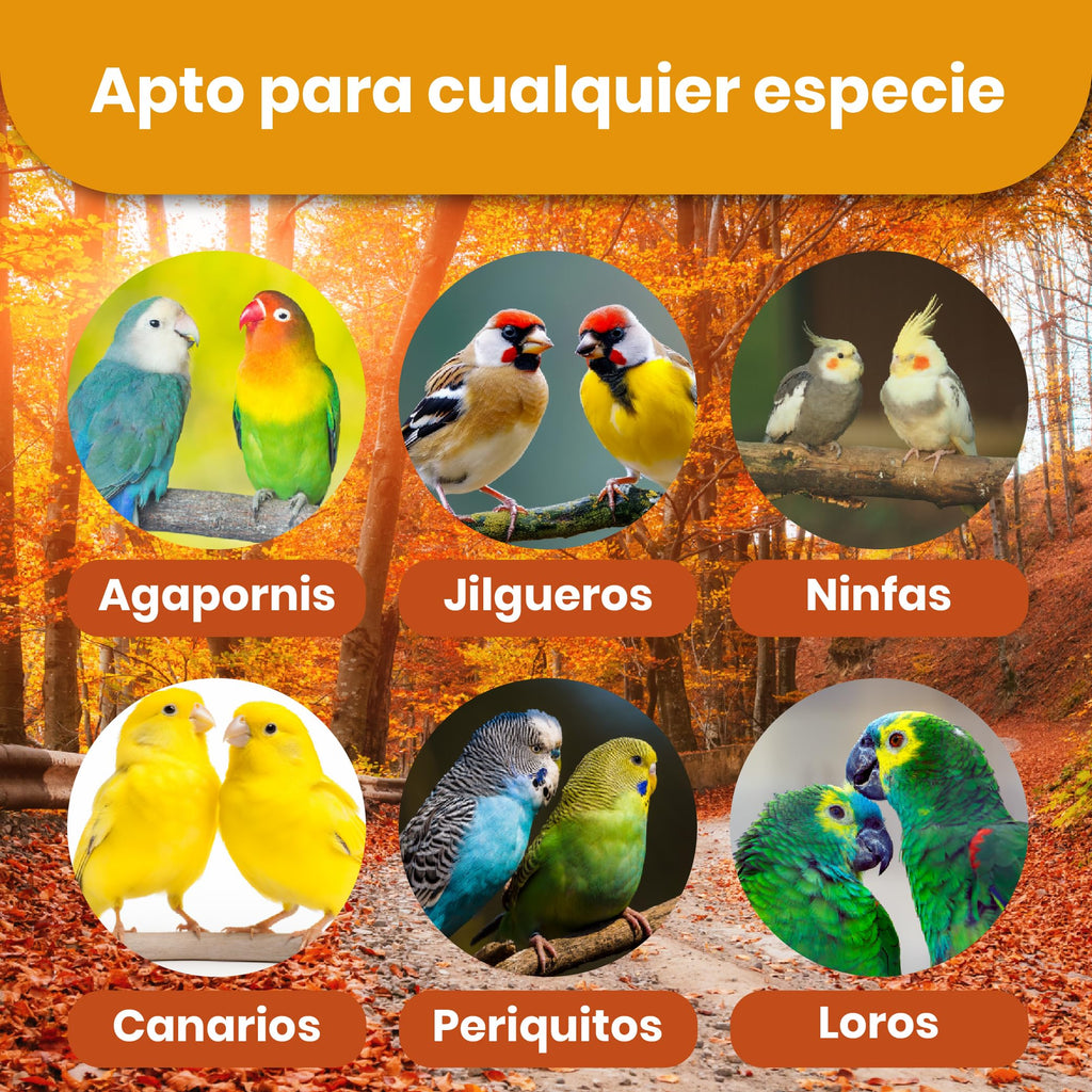 Papilla para Pájaros · 800 g