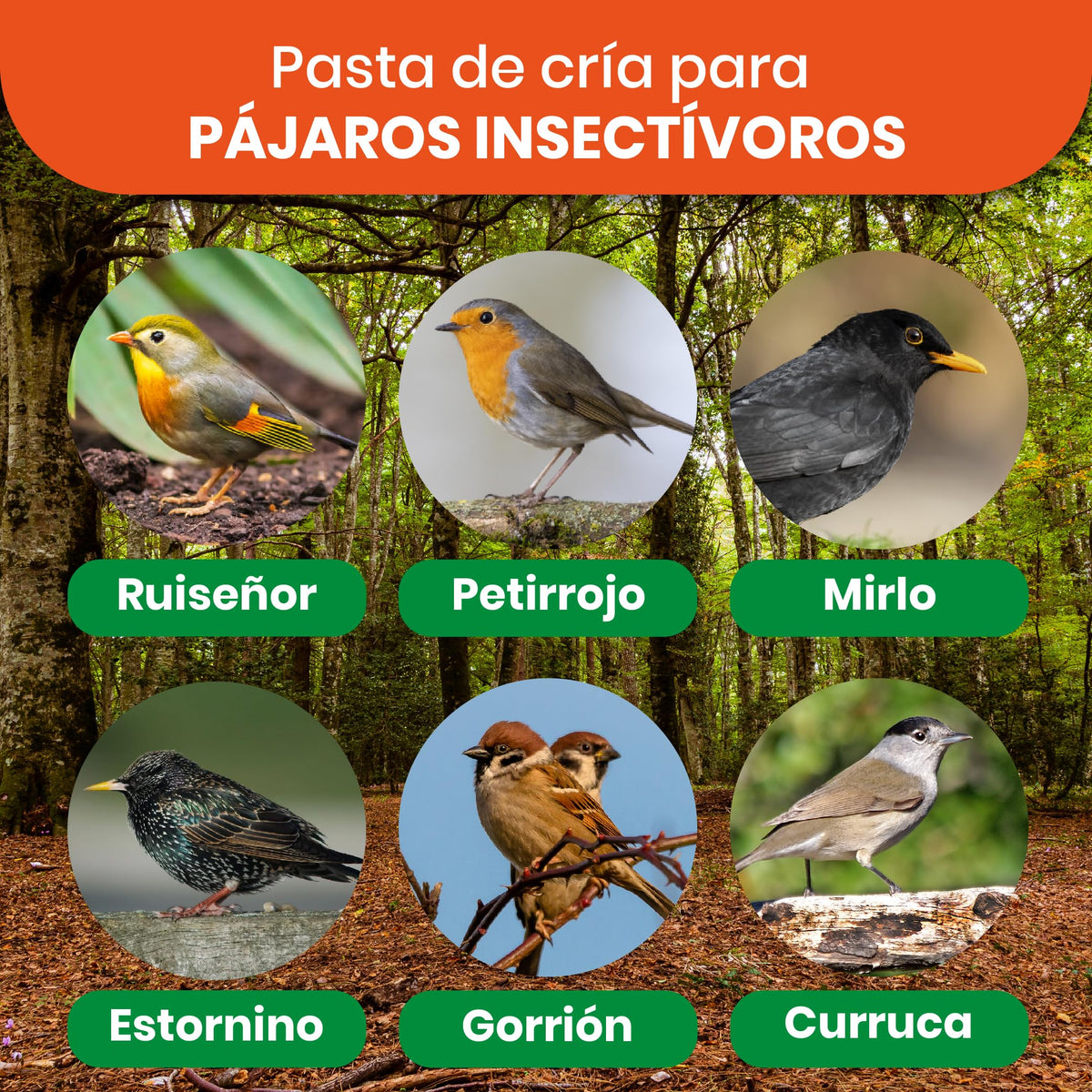 Pasta para Pájaros Insectívoros · 1 kg